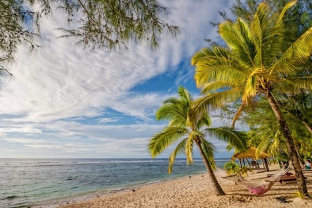 Beach relax - nice, sky, beach, tropics, hammock, paradise, water, wind, vacation, clouds, relax, sands, ocean, palm trees, travel, palms, summer, tropical, shore, place, lovely, exotic, beautiful, rest, island, breeze, sea