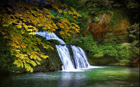 Forest stream - nice, trees, water, stream, waterfall, rocks, calm, fall, quiet, emerald, green, pond, falling, cascades, lovely, serenity, nature, forest, beautiful, leaves