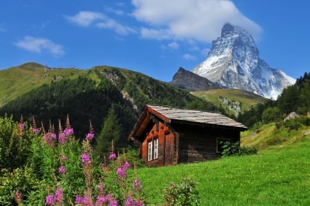 Swiss landscape - hills, summer, cabin, landscape, grass, mountain, flowers, Switzerland, nice, cottage, sky, clouds, house, mountainscape, swiss, beautiful, slope, lovely, peaks, rocks