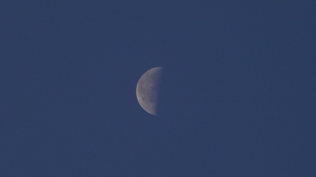 blue sky moon - moon, white, blue, sky