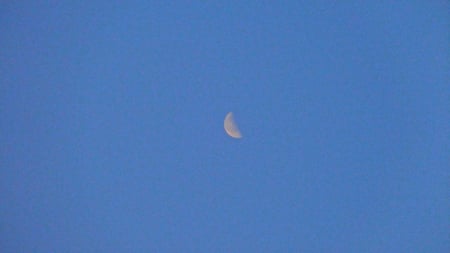 blue sky moon - moon, white, blue, sky