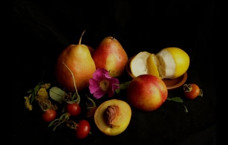 Fruits - still, pear, fruits, apple