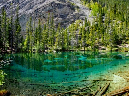 CLEAR WATER LAKE in CANADA - trees, water, clear, lake, mountain