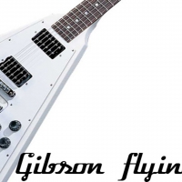 gibson flying v