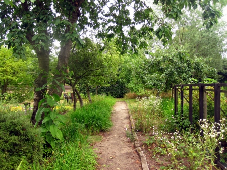 Garden - path, trees, nature, green, photography, tree, gardem