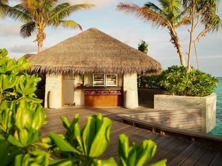 Luxury Tiki Hut beach Villa by Pool and beach - desert island - lagoon, gardens, beach, island, sand, tahiti, villa, holiday, atoll, plants, paradise, hut, luxury, sea, tiki, resort, ocean, islands, maldives, tropical, bora bora