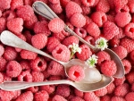 *** Raspberries ***