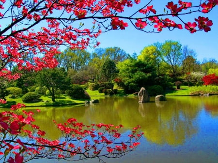 Park lake - blooming, blossoms, summer, beautiful, quiet, grass, nature, lvoely, greenery, pretty, water, spring, branches, lake, sky, garden, pond, freshness, reflection, nice, trees, green, tranquil