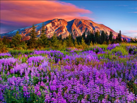 Mountain paradise - summer, amazing, landscape, grass, mountain, flowers, peak, cliffs, paradise, nice, sky, clouds, beautiful, slope, beauty, lovely, wildflowers, colorful, nature, rocks