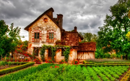 House - photo, house, tree, hdr