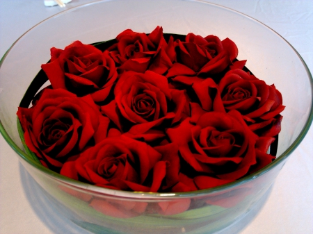 BOWL of RED ROSES - glass, red, bowl, roses