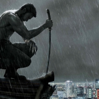 The Wolverine 2013