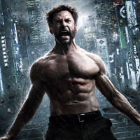 The Wolverine 2013