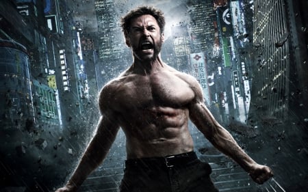 The Wolverine 2013 - 2013, the wolverine, movie, marvel