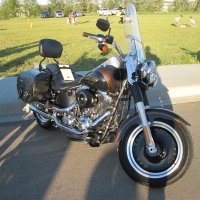 Black Harley Davidson