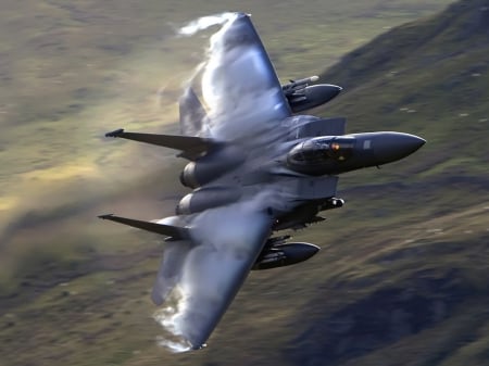 F 15 Eagle Living Legend