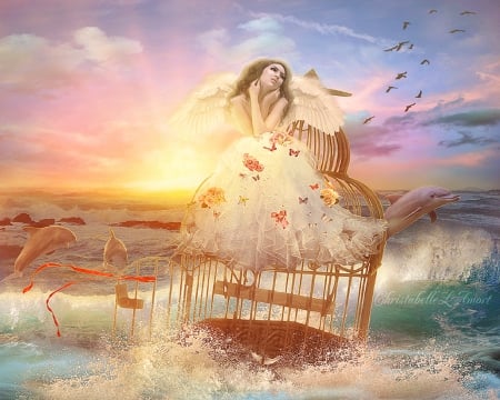 ✫It's Terrific of Somewhere✫ - roses, birds, creative pre-made, photomanipulation, sunsets, emotional, flowers, beautiful girls, cage, dolphins, ribbon, butteflies, sky, softness beauty, backgrounds, sea, digital art, bg, weird things people wear, model, wings, bow