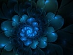 A Blue Flower