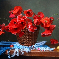 Poppy Still Life