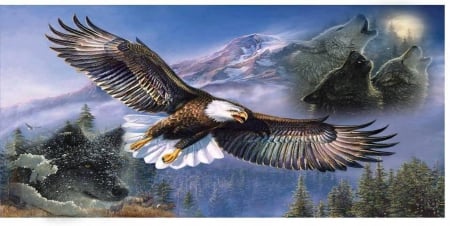 where eagles fly - pines, wolf, deer, flying, eagles, wolves