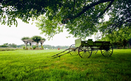 Greenery - nature, landscape, trees, cart, greens, field, tree, grass