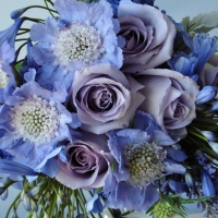 Blue bouquet