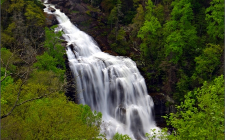 Lower Whitewater Falls, South Carolina - nature, trees, waterfall, usa