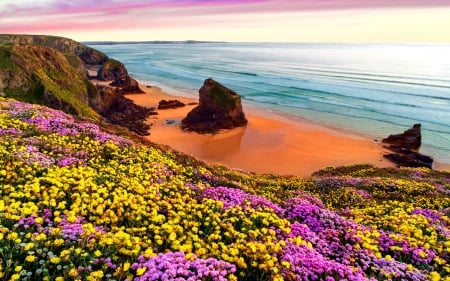 Coastal beauty - rocks, water, flowers, spring, beach, ocean, sand, sky, coast, nature, colorful