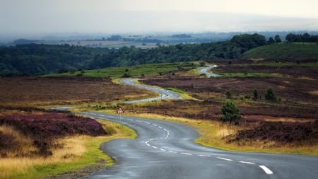 lovely serpentine highway - highway, serpentine, hills, fields