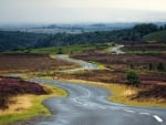 lovely serpentine highway