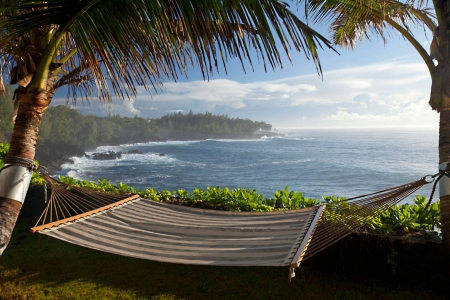 Relaxing Hammock with View of Big Island's Volcanic Coastline Hawaii - relax, coast, beach, island, hawaii, polynesia, sand, view, sit, paradise, trees, coastline, relaxing, sea, ocean, vista, palm, swing, islands, black, big, tropical, volcanic, dramatic