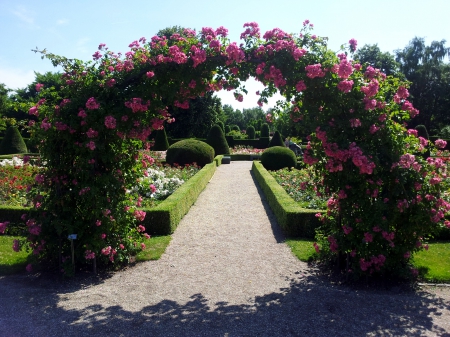 gate of roses - park, bow, rose, walk