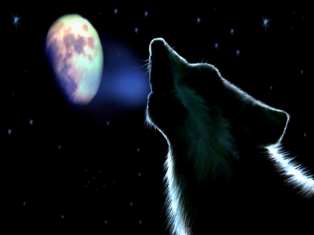 Night song - moon, night, howl, wolf