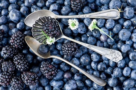 *** Berries *** - berries, blackberries, nature, spoons