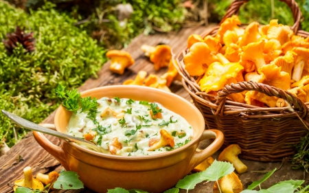 *** Chanterelles mushrooms in cream *** - mushrooms, food, chanterelles, bowl