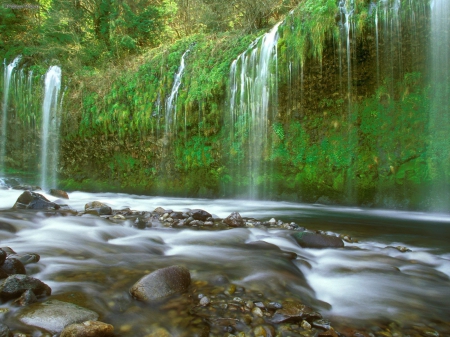 ~Mossbrae Falls~ - forest, water, nature, falls