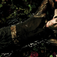 Ian Somerhalder as Damon