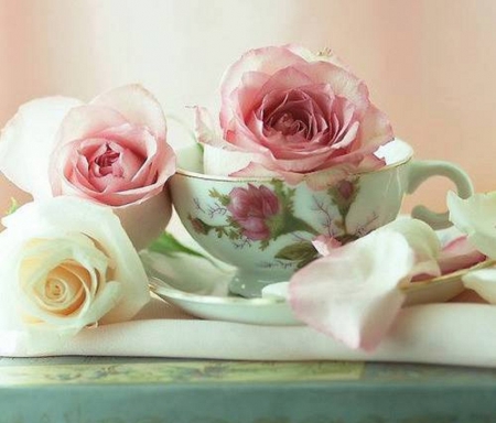 roses and teacup - roses, flowers, teacup, still life