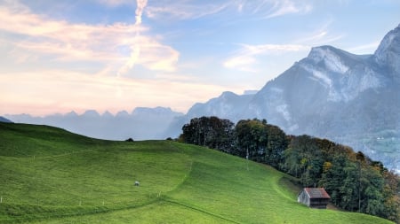 sheep pasture on an alpine meadow - sheep, grass, meadow, mountains, pasture, hut