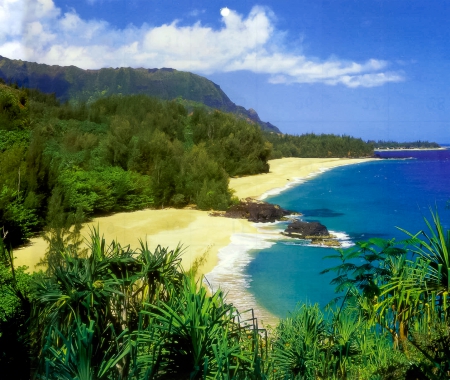 Lumahai Beach Kauai North Coast Hawaii - beach, trees, paradise, kauai, polynesian, hawaii, polynesia, sand, ocean, lumahai, islands, tropical, palm, exotic, island, hawaiian, sea