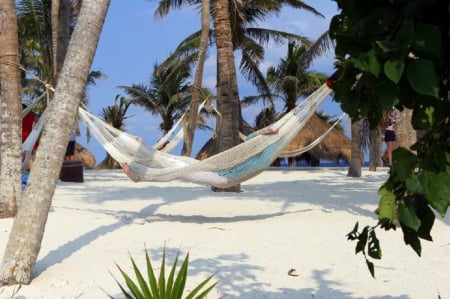 Vacations - hammock, vacations, nature, beaches