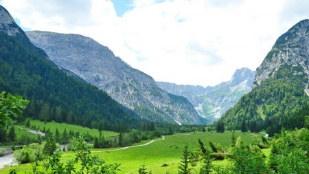 entering a wondrous valley - forest, mountains, road, river, valley, grass