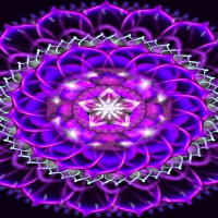 The Holiness of ALL