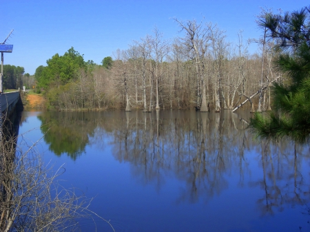 Lousiana...Reflections - reflections, nature, louisana, lake