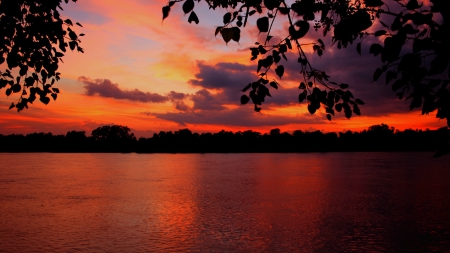 Orange-black sunset - nice, sky, sundown, trees, water, sunset, black, amazing, dark, reflection, river, orange, lake, shore, lovely, red, beautiful