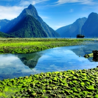 Milford sound fiord, New Zealand