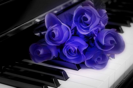 Thank you for all - roses, piano, for friend, with love