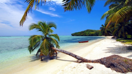 Madagascar Natural Beach - coconut, white, palms, boat, ocean, sand