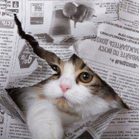 ...hello....!