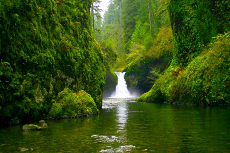 GREEN FOREST RIVER FALLS - FOREST, RIVER, FALLS, GREEN